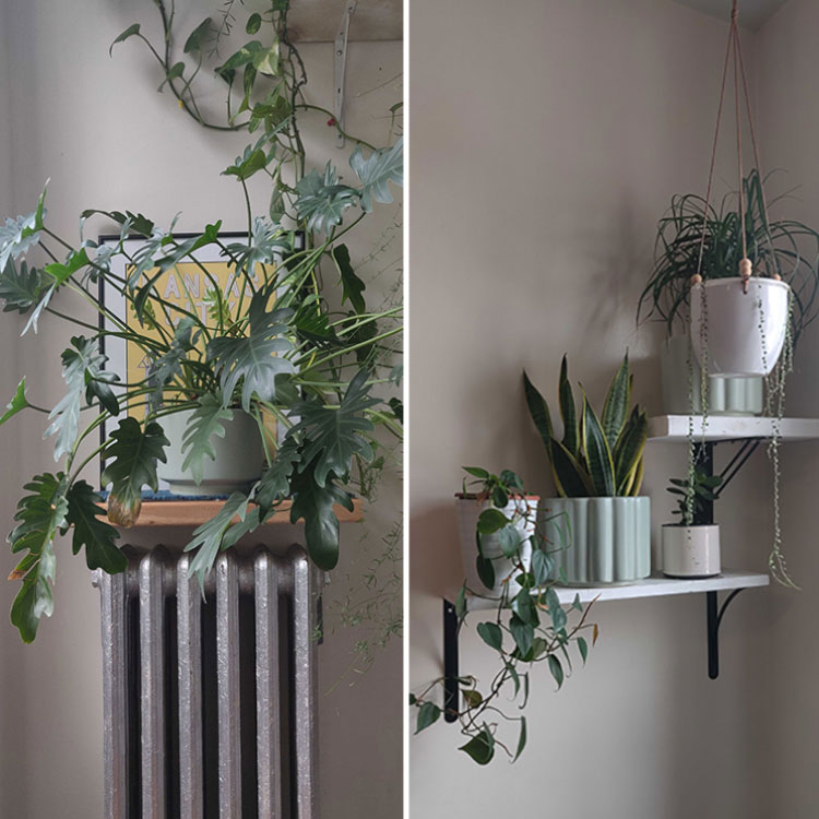 plant shelf ideas - radiator shelf