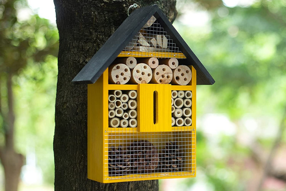 Deals Roundup 1:24 Option: XDYGHH Wooden Insect and Bee House