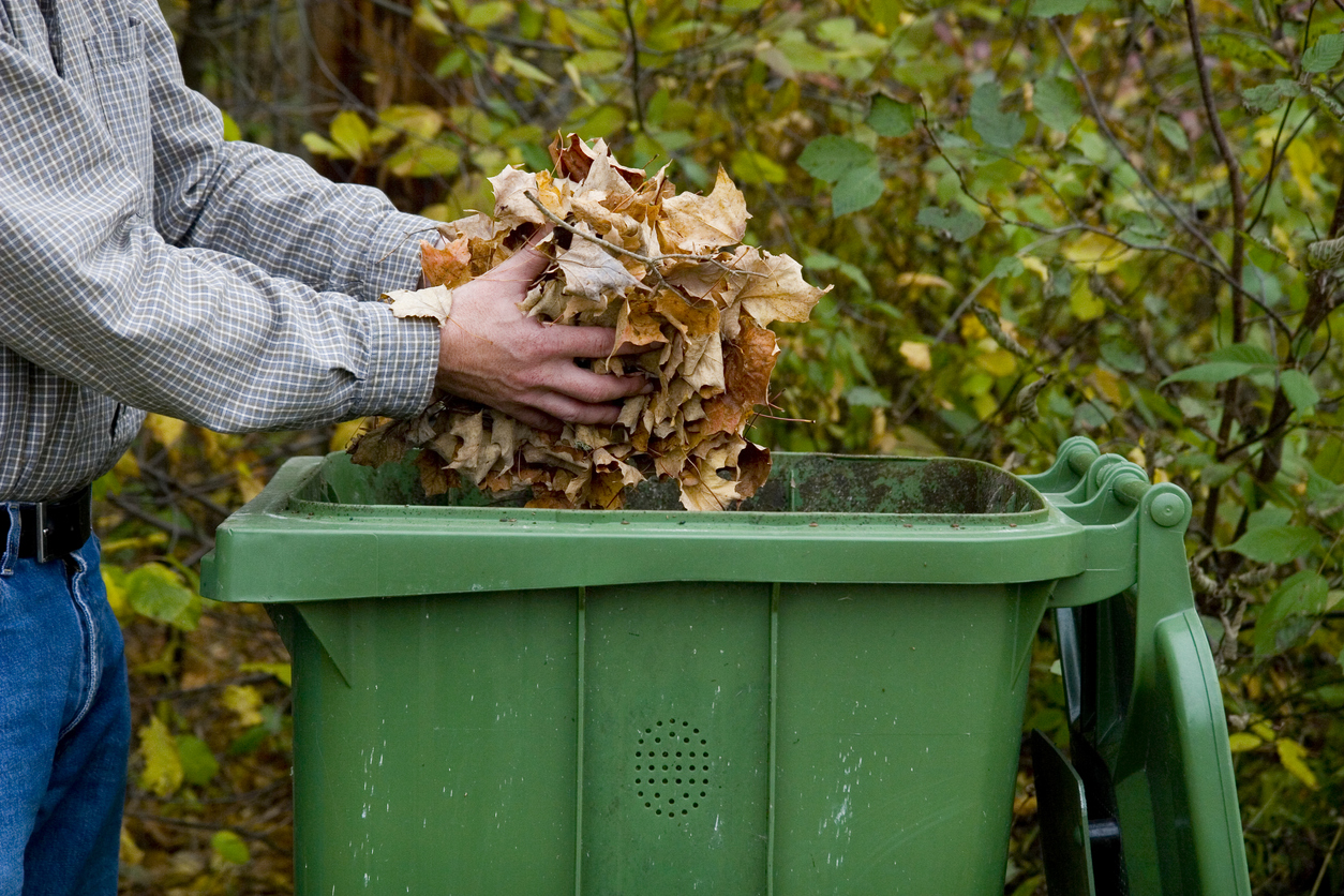 leaf mold