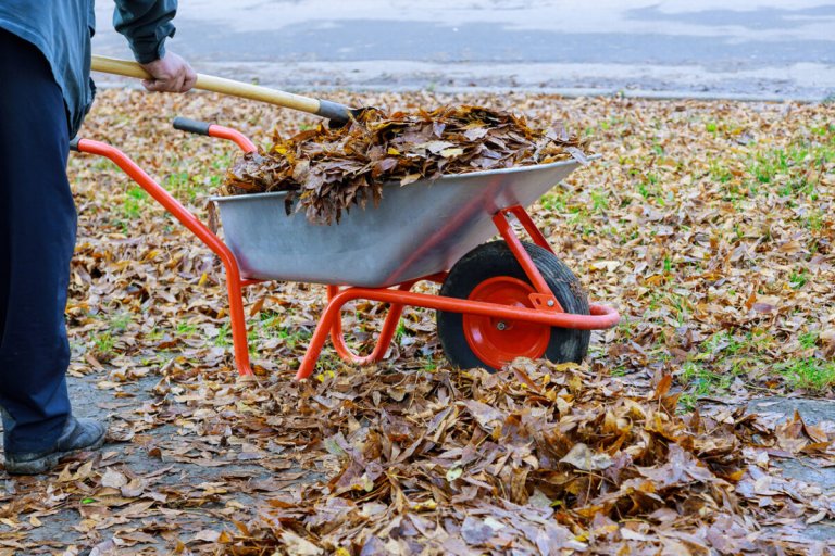 leaf mold