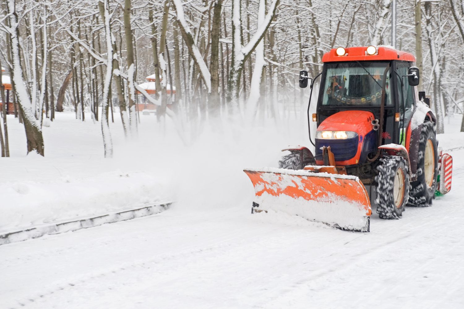 Snow Removal Cost