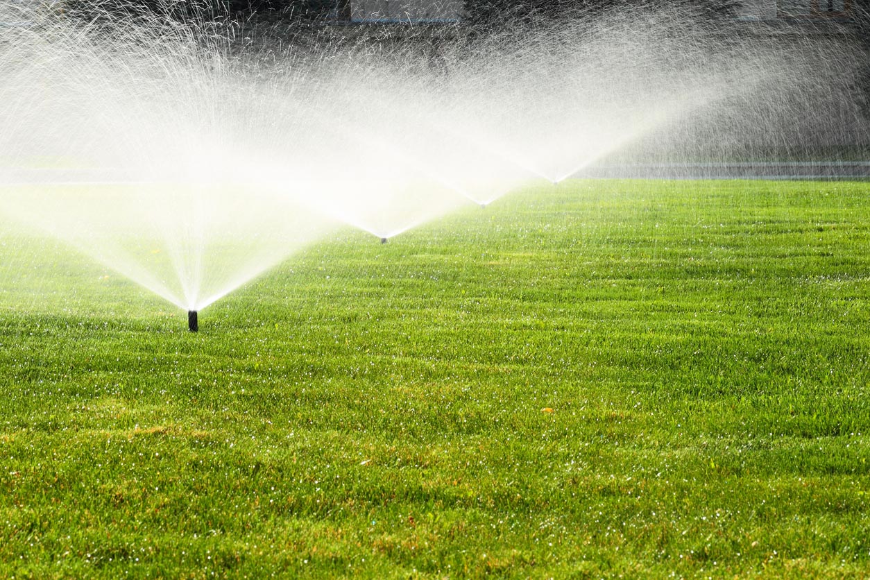 The Best Irrigation Services Options