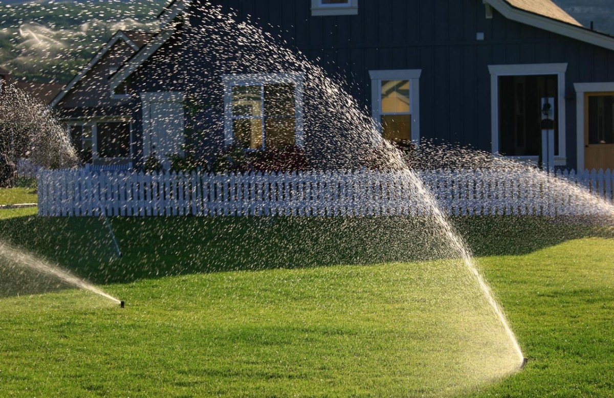 The Best Irrigation Services Options