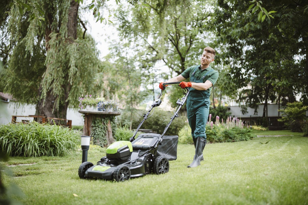 The Best Lawn Care Services Options