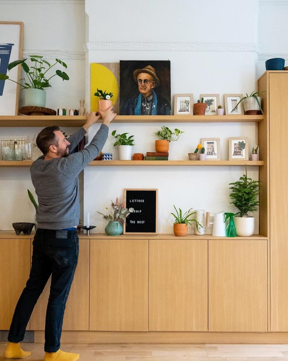 Man adding small potted plant to shelf.