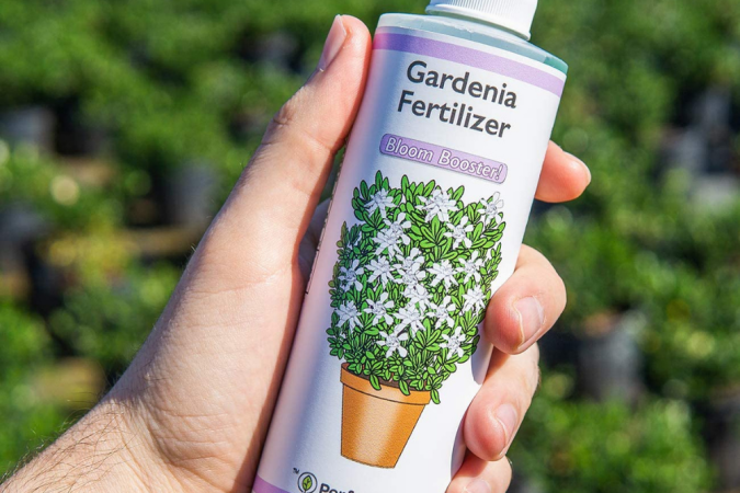 The Best Fertilizers for Gardenias
