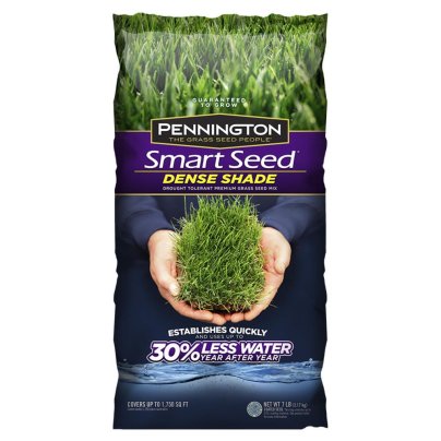 The Best Grass Seed for Shade Option: Pennington Smart Seed Dense Shade Grass Mix