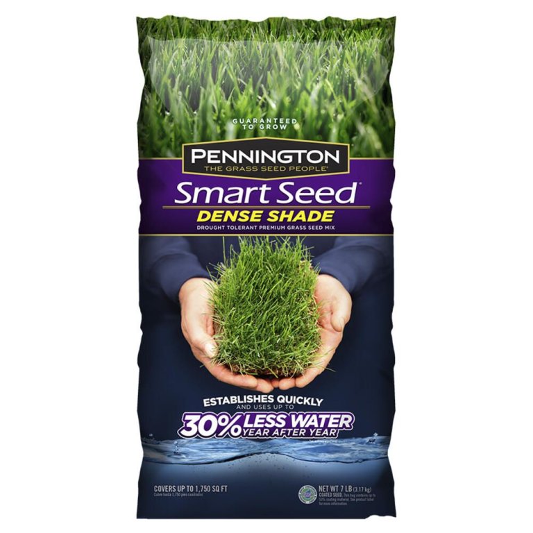  The Best Grass Seed for Shade Option: Pennington Smart Seed Dense Shade Grass Mix