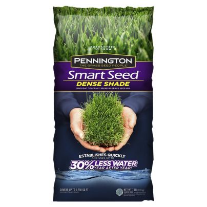 The Best Grass Seed for Shade Option: Pennington Smart Seed Dense Shade Grass Mix