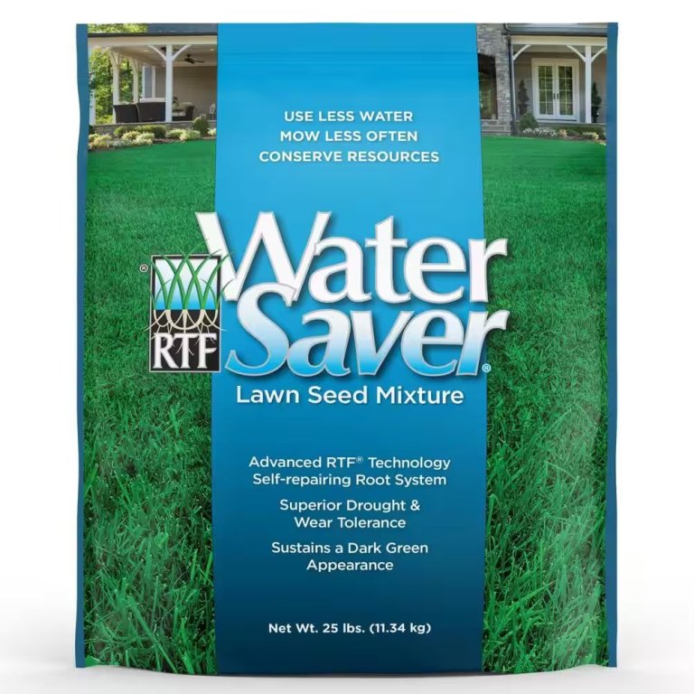  The Best Grass Seed for Shade Option: WaterSaver Grass Mixture with Turf-Type Tall Fescue
