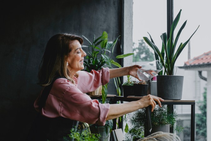 The 8 Best Places To Buy Plants Online