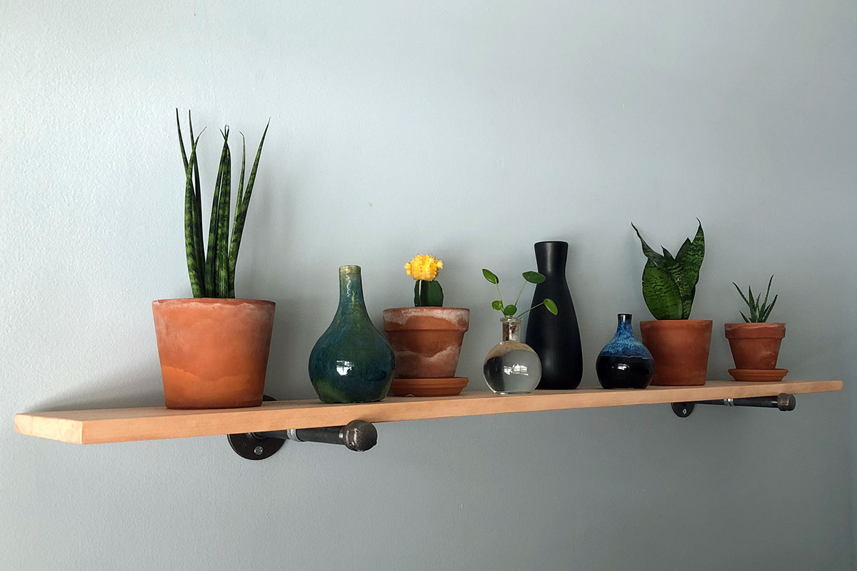 plant shelf ideas - steel pipe shelf