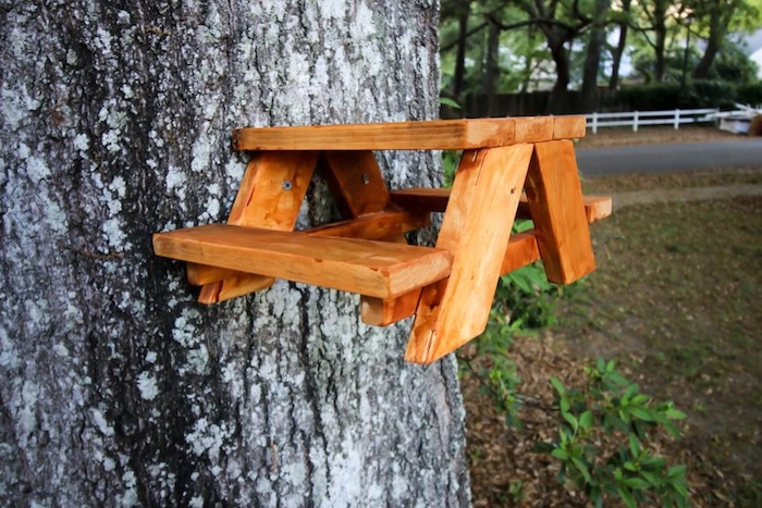 squirrel picnic table attached to a tree trunk
