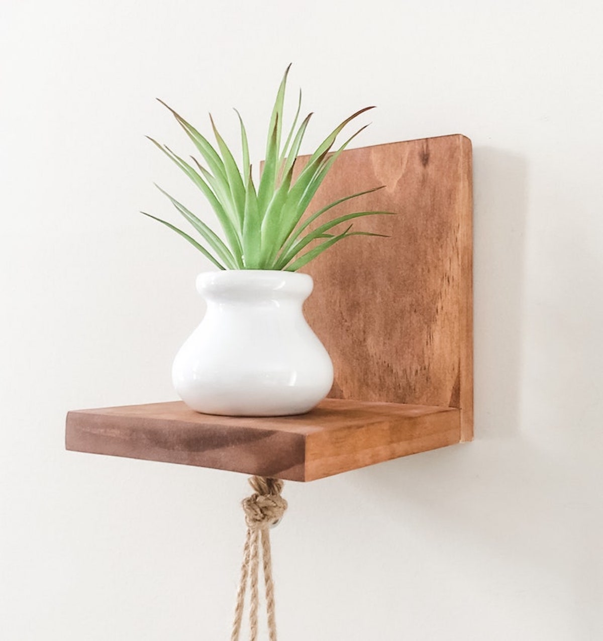 plant shelf ideas - mini succulent shelf