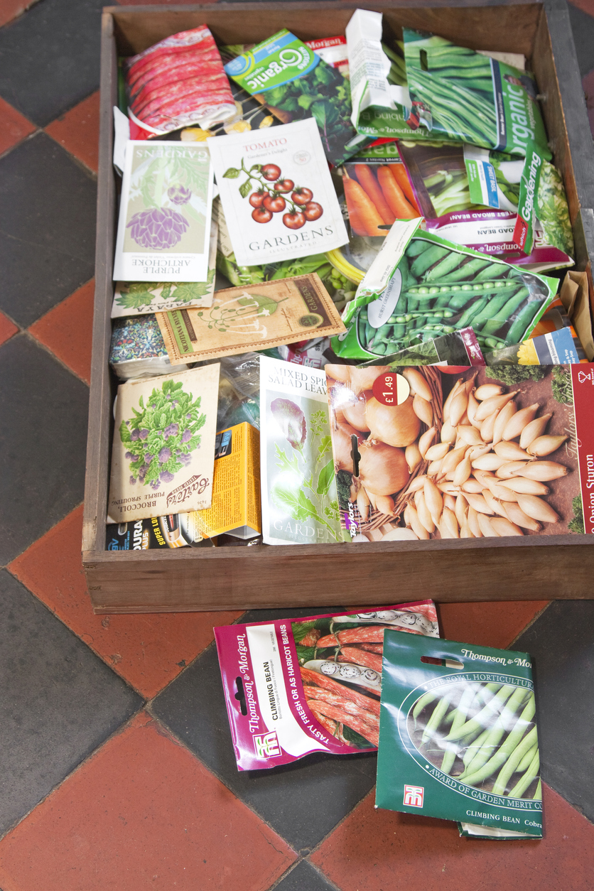 3 Mistakes to Avoid When Seed Shopping This Year