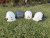 Best Hard Hats