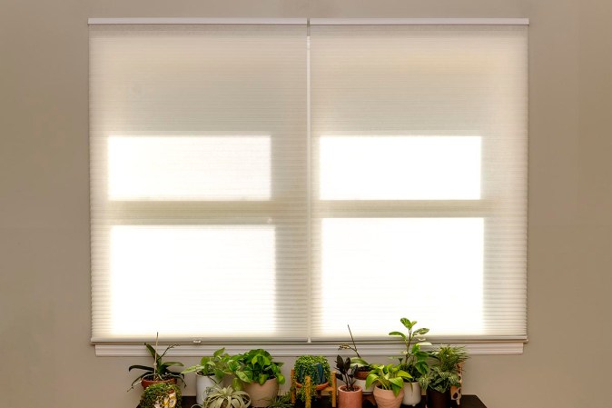 This Online Retailer Takes the Frustration Out of Shopping for Custom Blinds
