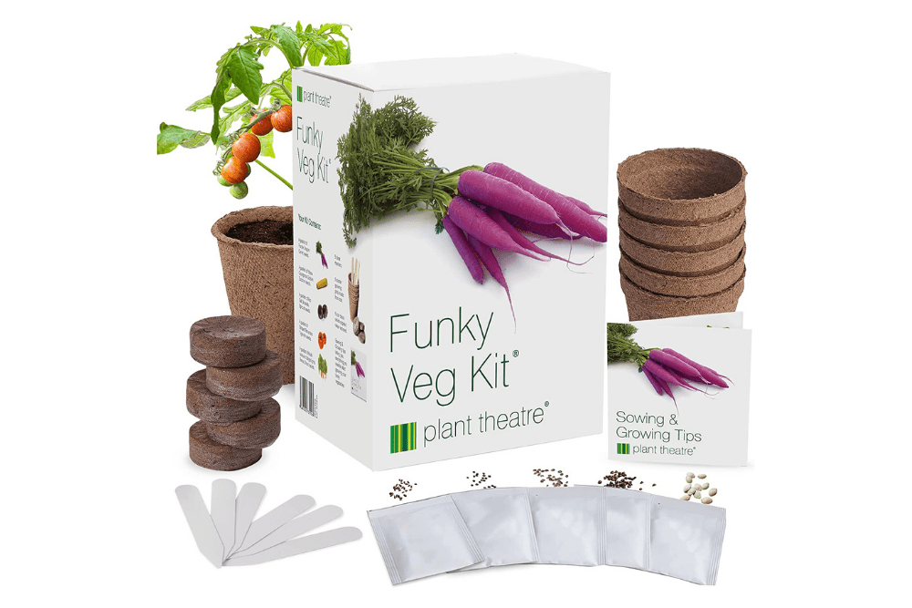 Deals Roundup 2/23 Option: Plant Theatre Funky Veg Garden Starter Kit