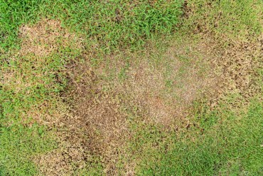 How to Find Your Septic Tank