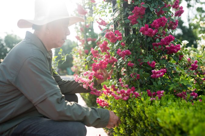 So, Who Are Master Gardeners and What Can They Do for You?