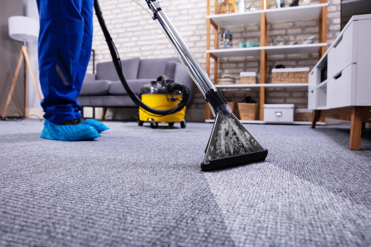 The Best Carpet Cleaner Rental Brands Options
