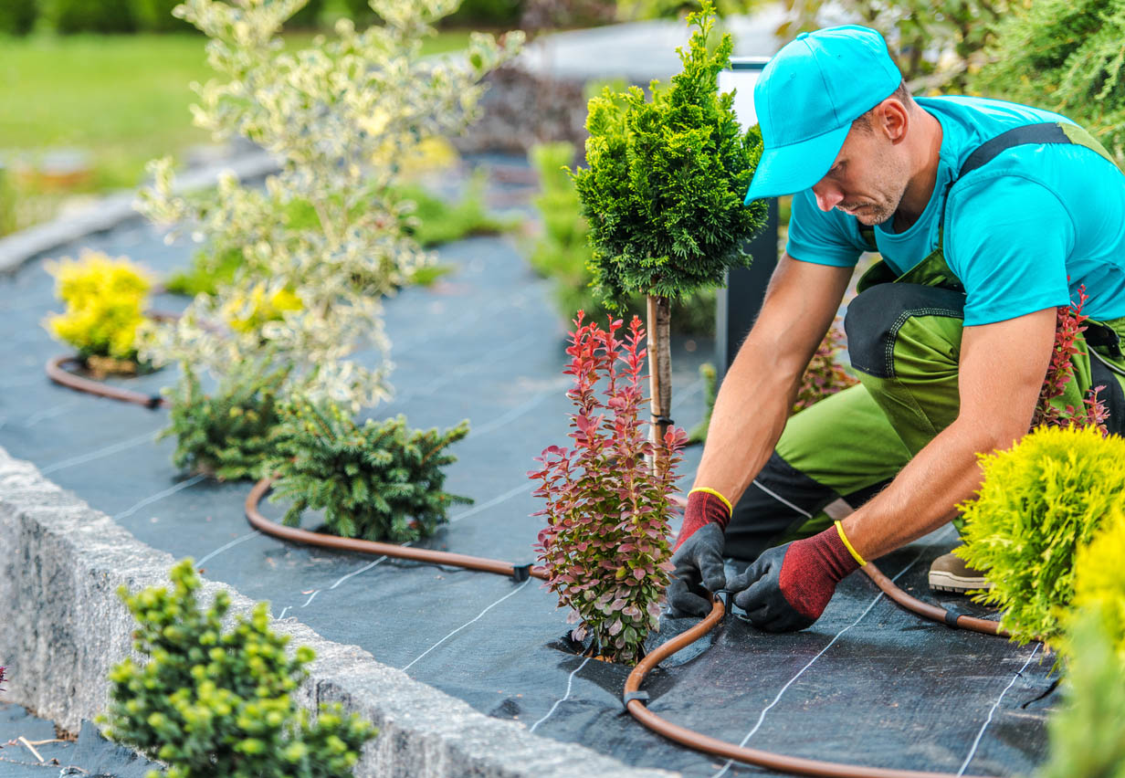 The Best Landscaping Companies Options