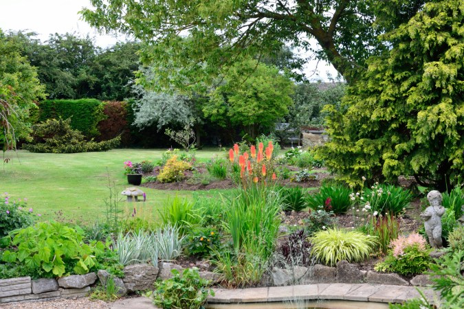 10 Tips for Creating a Woodland Garden at Home