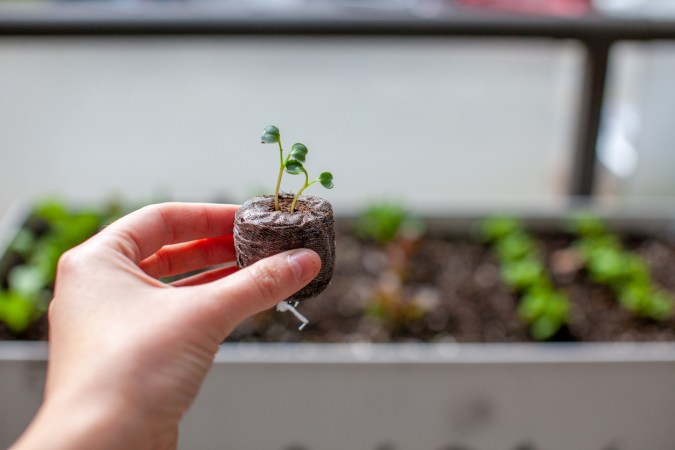 10 Sustainable Gardening Trends to Try in 2022
