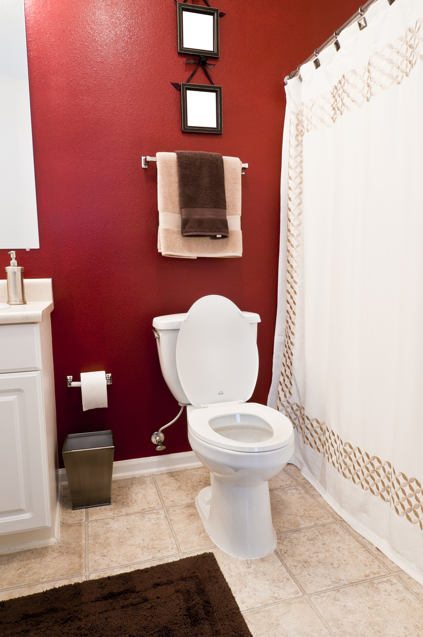 bathroom paint color ideas