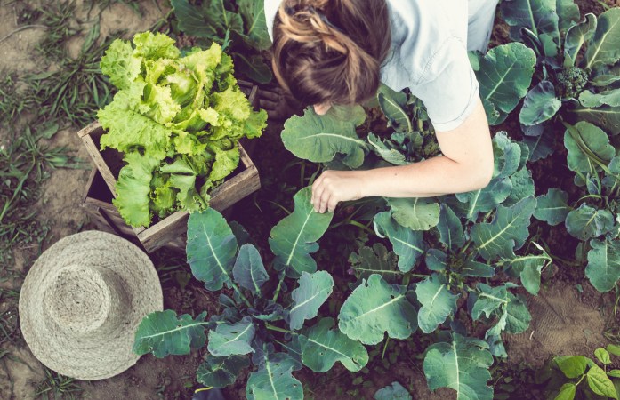 4 Things to Know About Gardening Late in the Season
