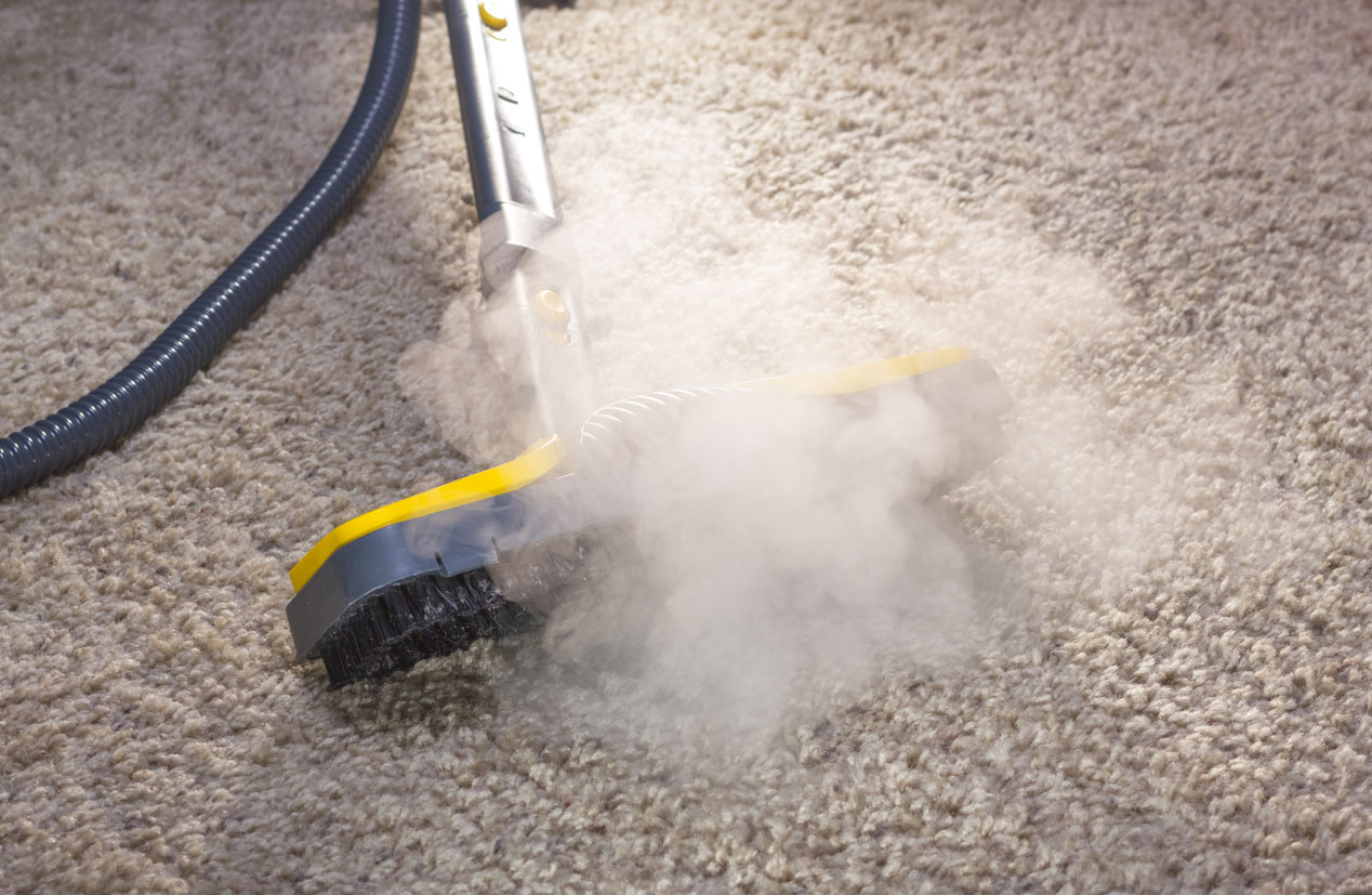 Carpet Cleaning Cost