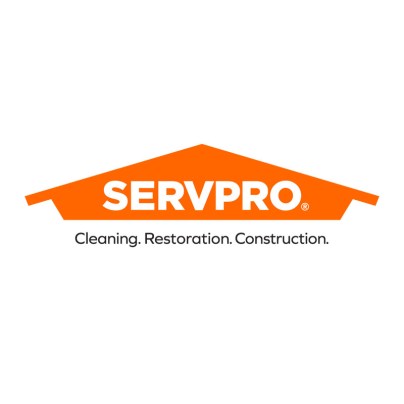 The Best Mold Removal Companies Option: SERVPRO