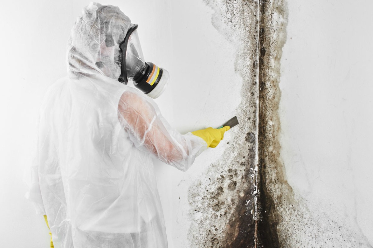 Toxic Mold-Pro | Mold Testing - Mold Remediation - Water Damage Restoration