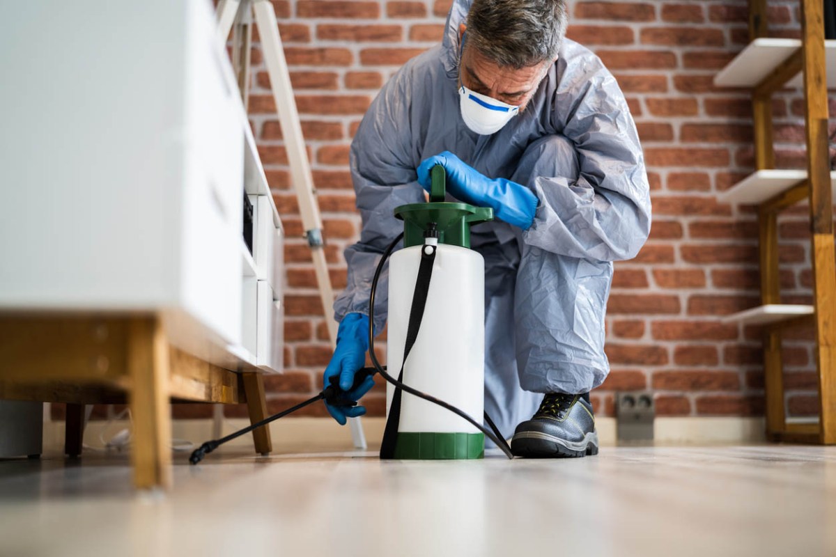 A pest control specialist sprays a solution under furniture.