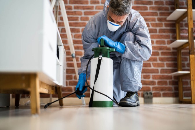 The Best Pest Control Companies of May 2024