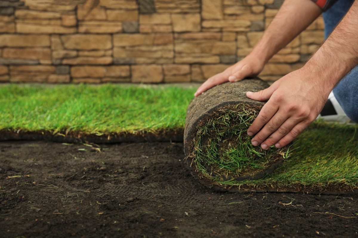 The Best Sod Installation Services Options