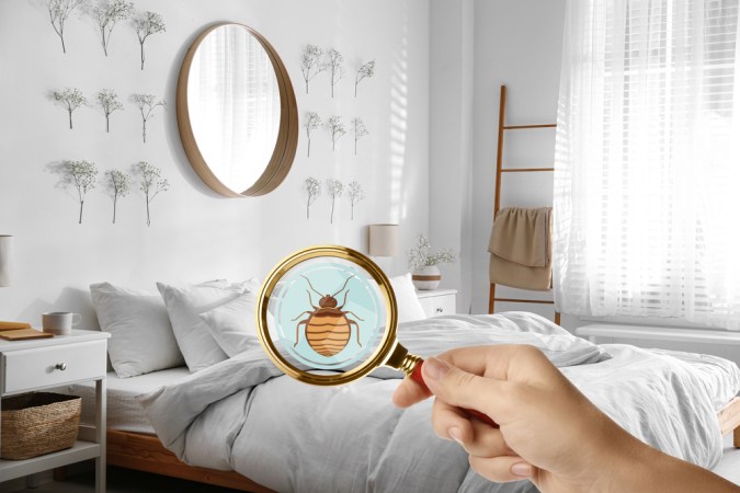 Solved! Does Bleach Kill Bed Bugs?