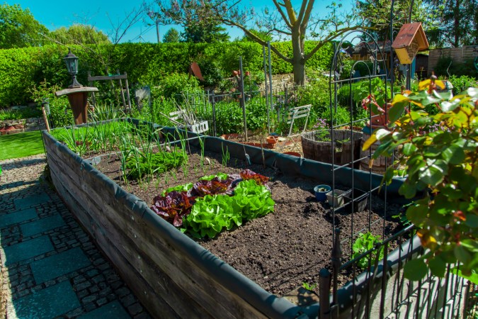 9 Products to Help You Corral Your Garden Veggies