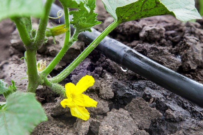 The Best Drip Irrigation Systems for Precision Watering