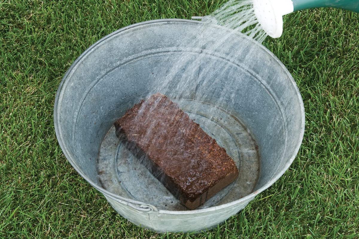 Coir or peat soil brick in a galvanized bucket is being rehydrated with a watering can.