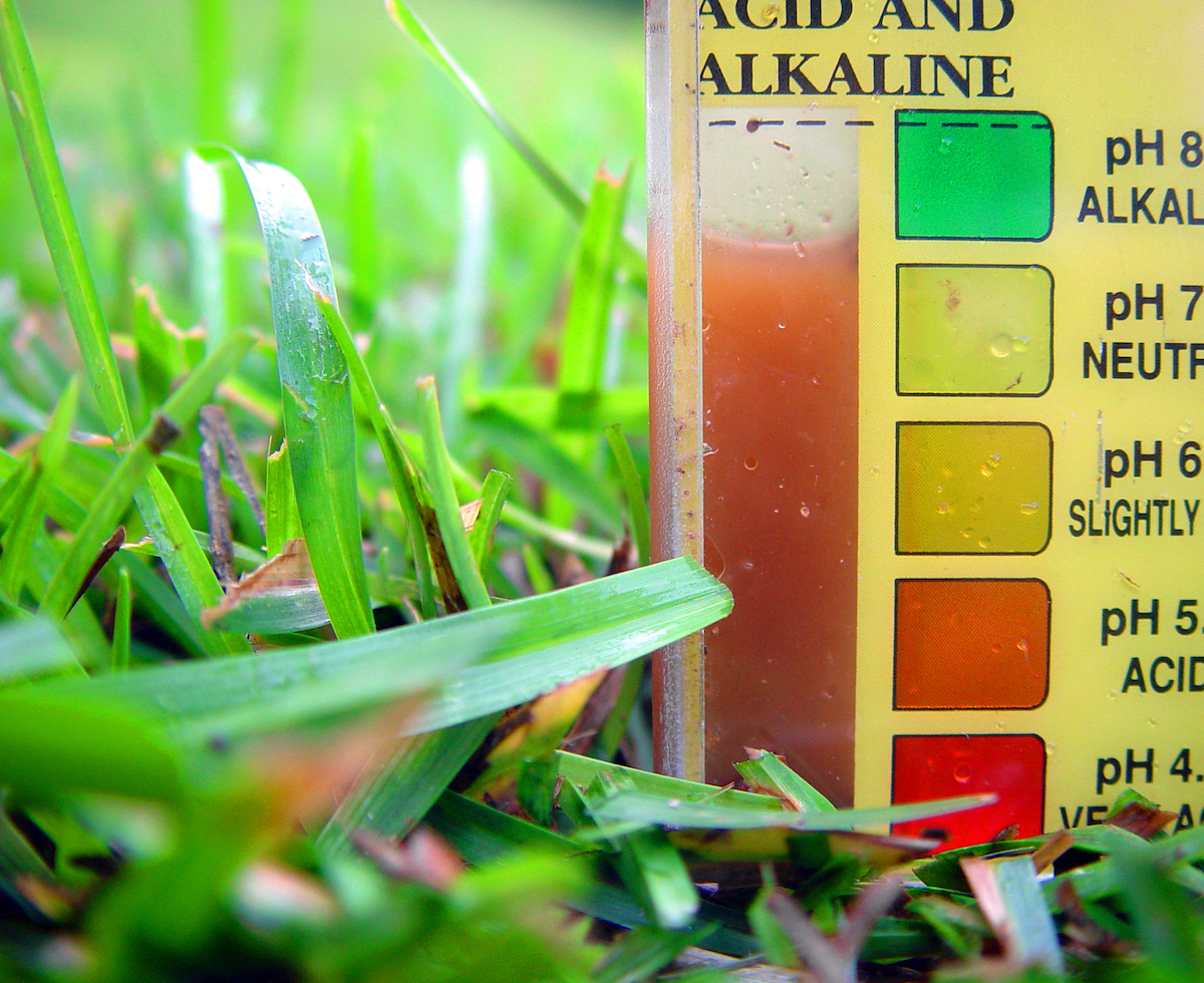A lawn soil test kit with pH color strip sitting among blades of grass.