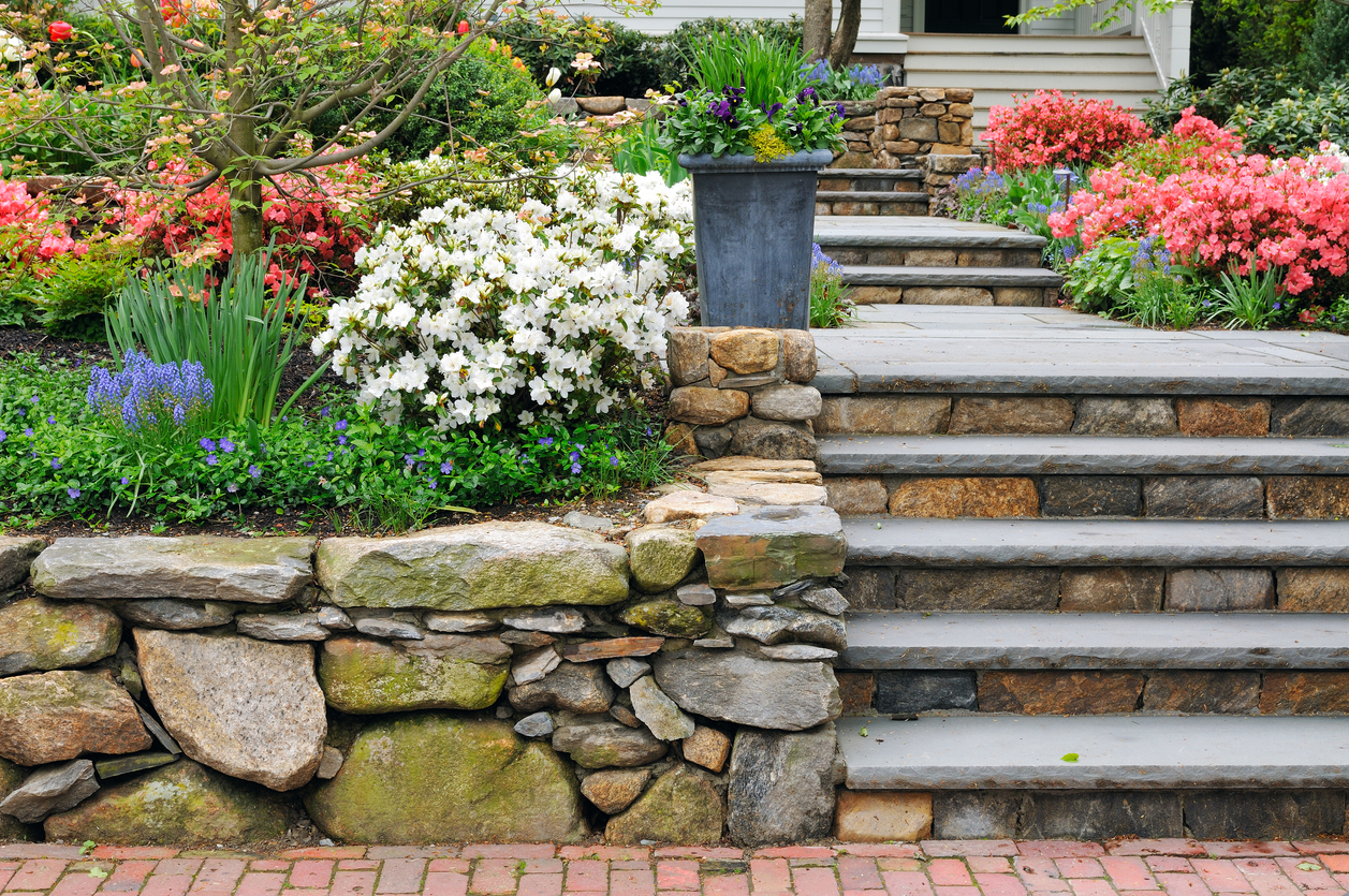 8 Landscaping Mistakes That Make a Home Look Outdated