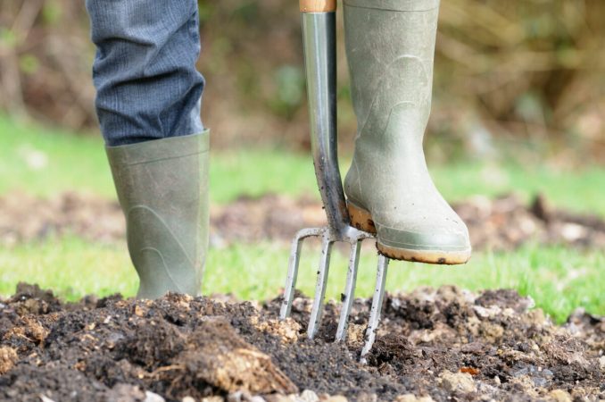 Want a Bountiful Summer Garden? Do These 3 Quick Things to Your Soil This Weekend