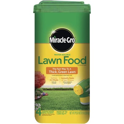 The Best Fertilizers For Zoysia Grass Option: Miracle-Gro Water Soluble Lawn Food