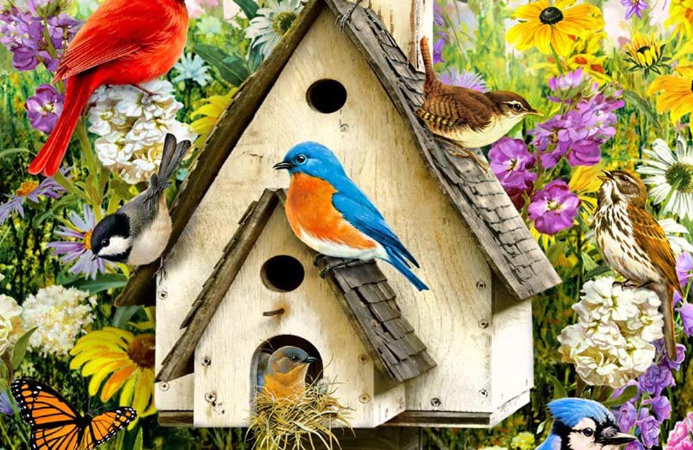 Cheap Mother’s Day Gifts Option: Backyard Birds Jigsaw Puzzle