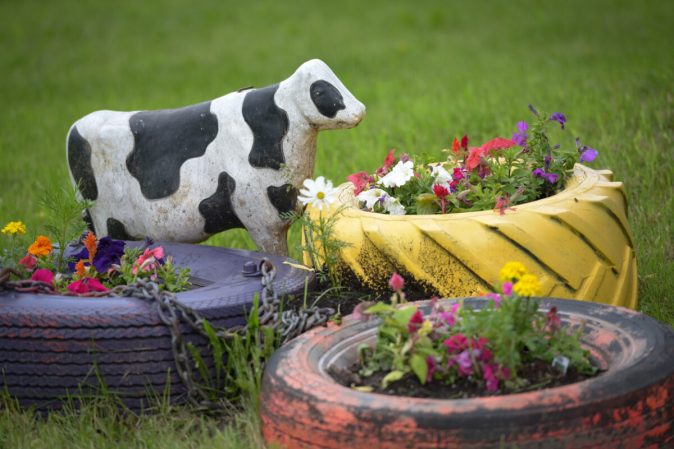 15 Things to Know Before Laying Landscape Fabric in Your Yard