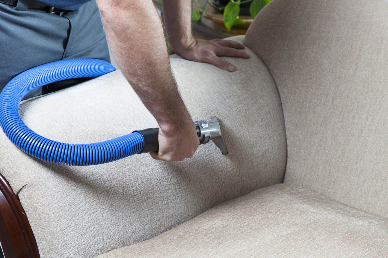 The Best Couch Cleaning Services Options