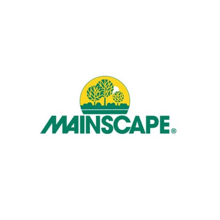 Mainscape