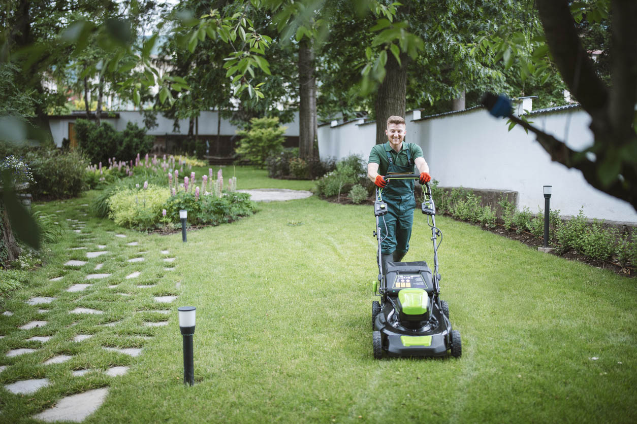 The Best Gardening Services Options