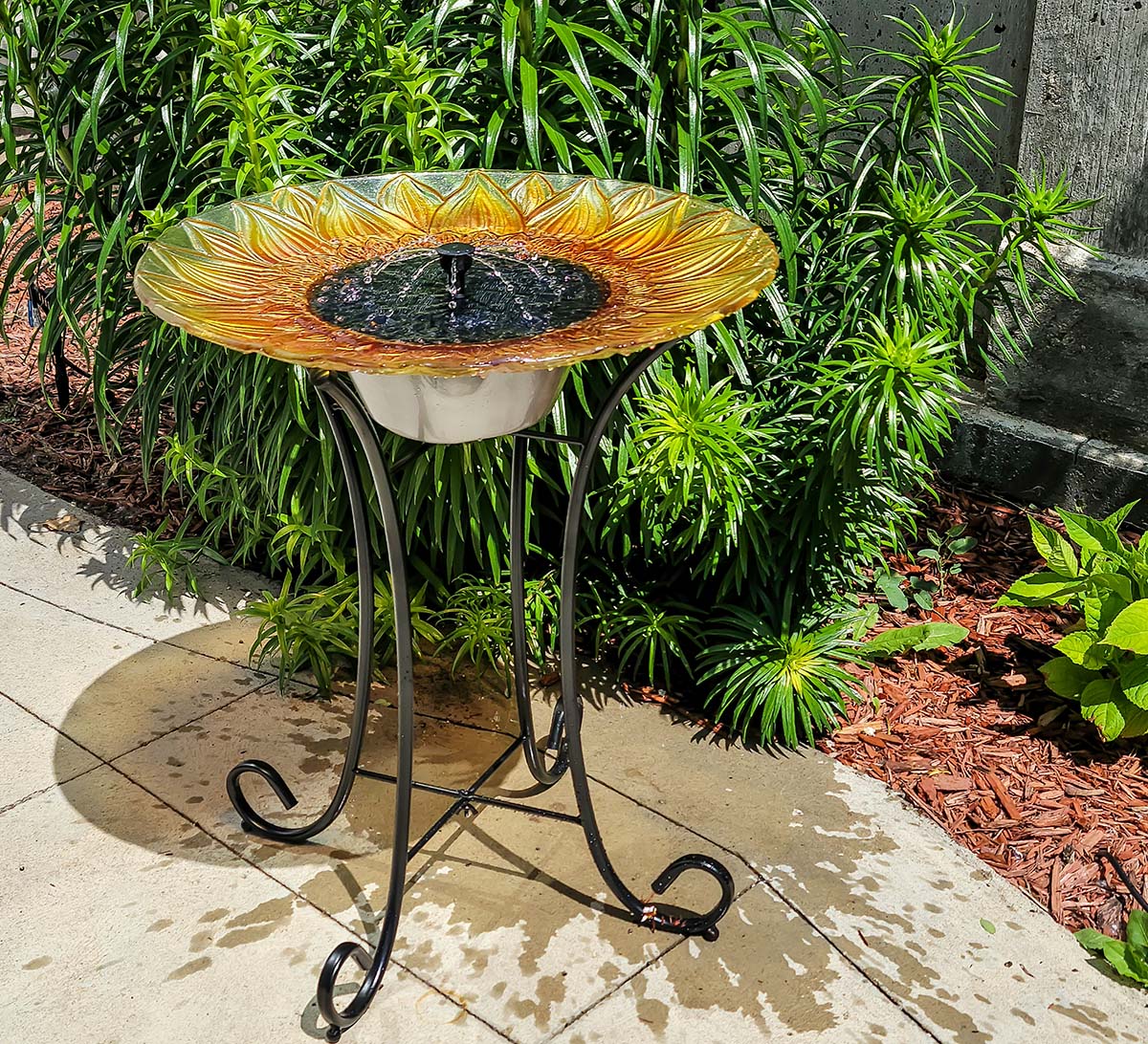 The Best Solar Birdbath Fountains Options